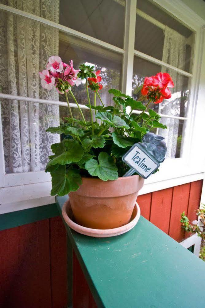 Volcano Teapot Cottage Exteriér fotografie